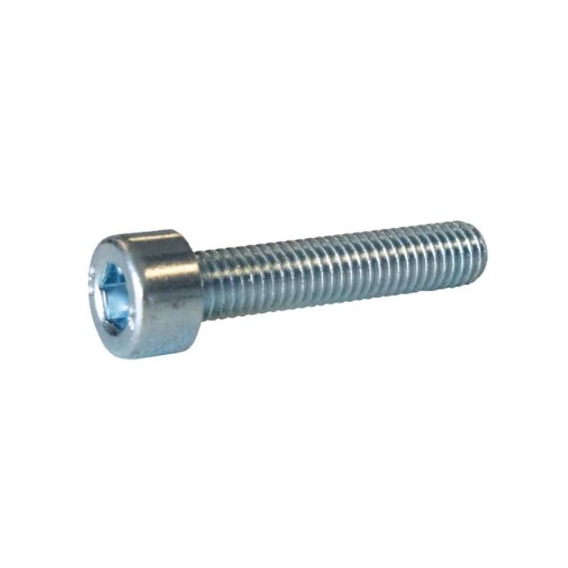 Inbusbout Cilinderkop | Elektrolytisch Verzonken | M5x25mm